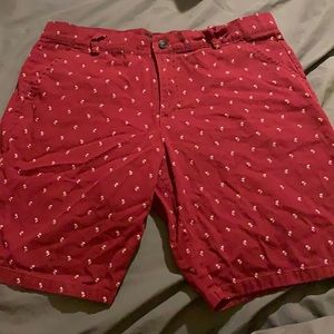 Soft comfy shorts 34